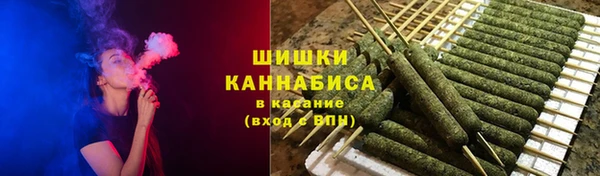 шишки Осташков