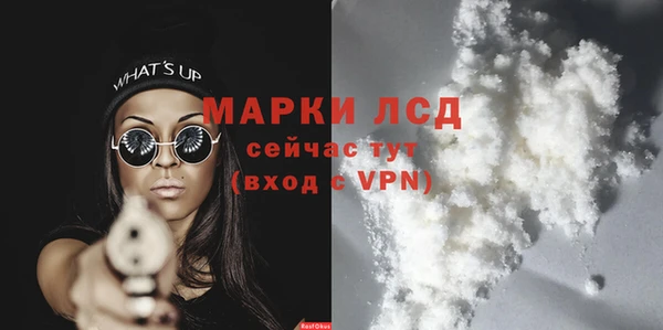 шишки Осташков