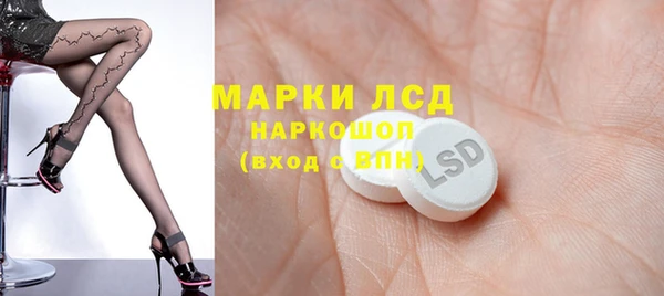 шишки Осташков