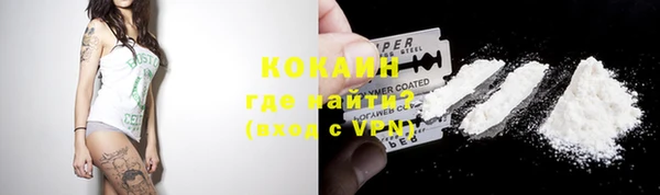 шишки Осташков