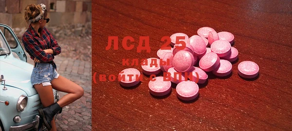 шишки Осташков