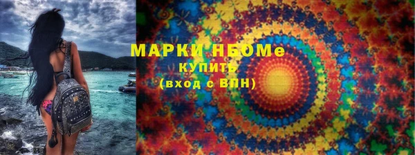 шишки Осташков
