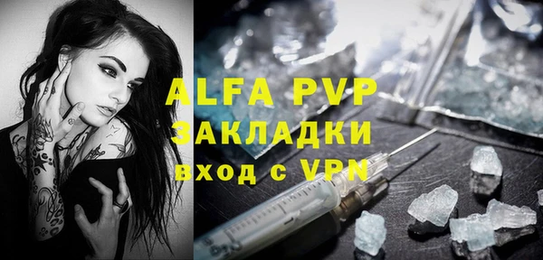 PSILOCYBIN Елабуга