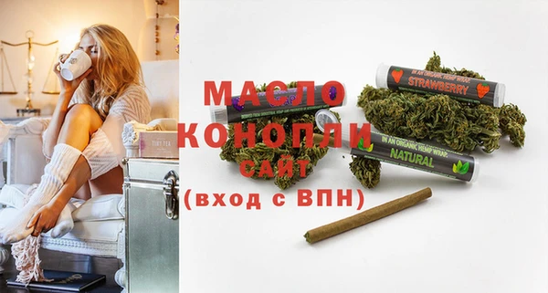 шишки Осташков