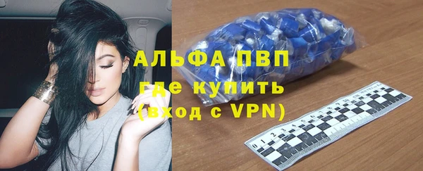 шишки Осташков