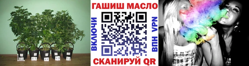 ТГК вейп  нарко площадка официальный сайт  Судогда 